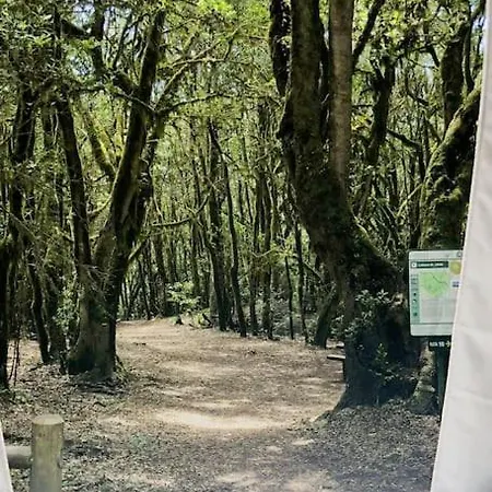 Camping W Discovery Canarias San Miguel de Abona